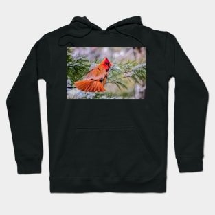 Christmas Cardinal Hoodie